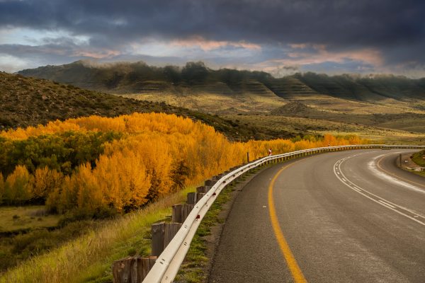 Major South African news outlets reported no Road Accident Fund developments on May 22, 2026. We explain what silence means for pending claims and the broader compensation landscape.