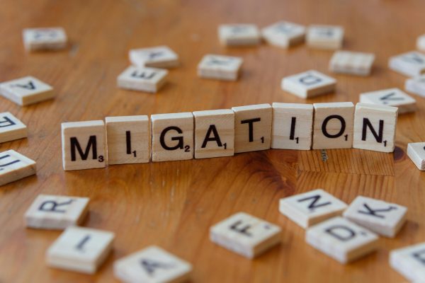 Today's major South African news outlets show no Road Accident Fund stories. Instead, coverage centres on immigration enforcement, political developments, and social issues affecting the nation.